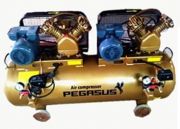 May nen khi Pegasus TM-V-0.25/12.5x2-230L (6HP)