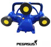 Đầu nén khí Pegasus 10HP