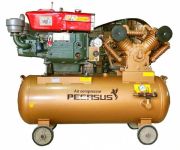 Máy nén khí chạy dầu đầu nổ diesel Pegasus