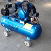 Máy nén khí Pegasus TM-V-0.17/8-120L (2HP)