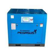 Máy nén khí trục vít Pegasus TMPM-75HP (55KW)