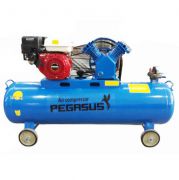 May nen khi chay xang Pegasus TM-V-0.25/8-100L (3HP)