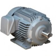 Motor dong co Hitachi 30HP/22KW