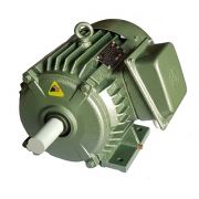 Motor chân đế 3 pha Việt Hung VIHEM (HEM)